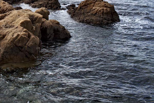 bilateral_localcontrast_crop