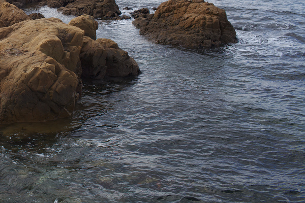 bilateral_original_crop