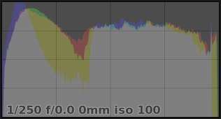 Histogram after adjustment