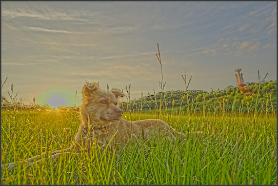 brutto effetto hdr