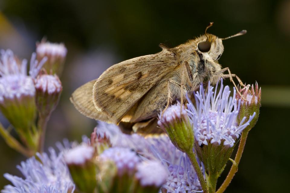 darktable 5.4 - A Simple Beginner Workflow and Interactive Walkthrough