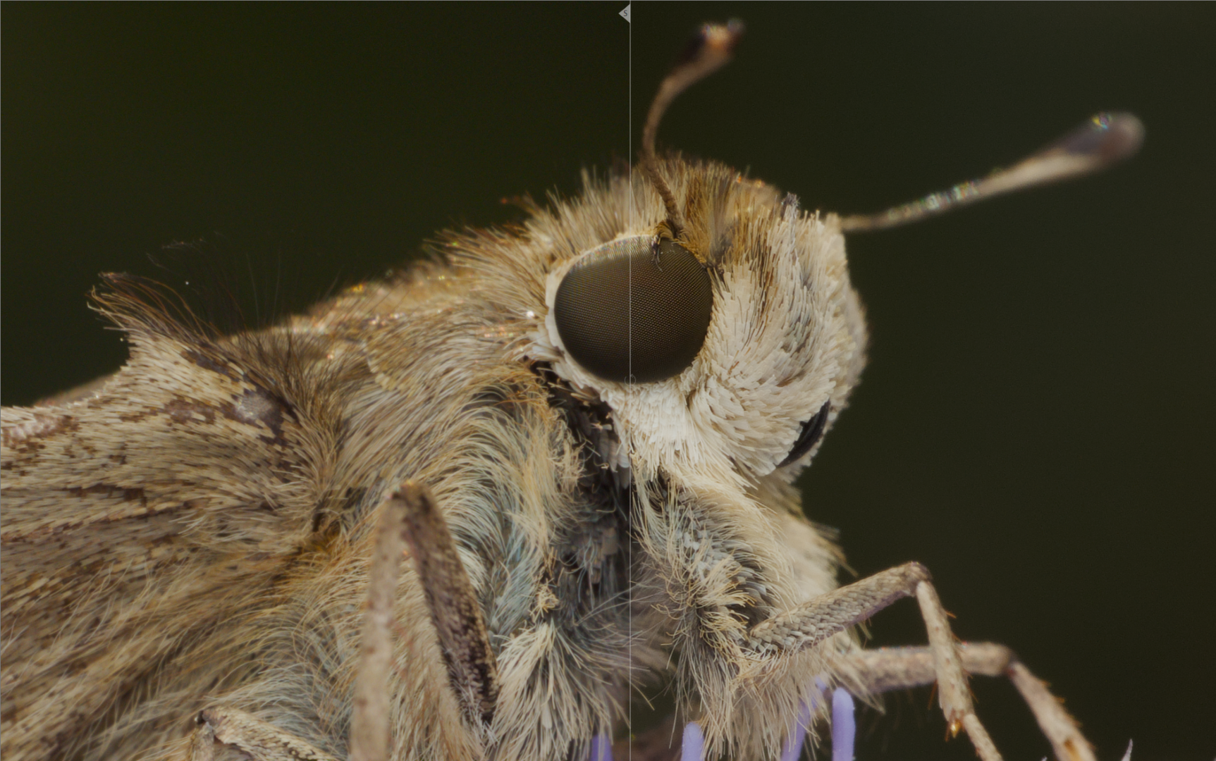 After technical corrections