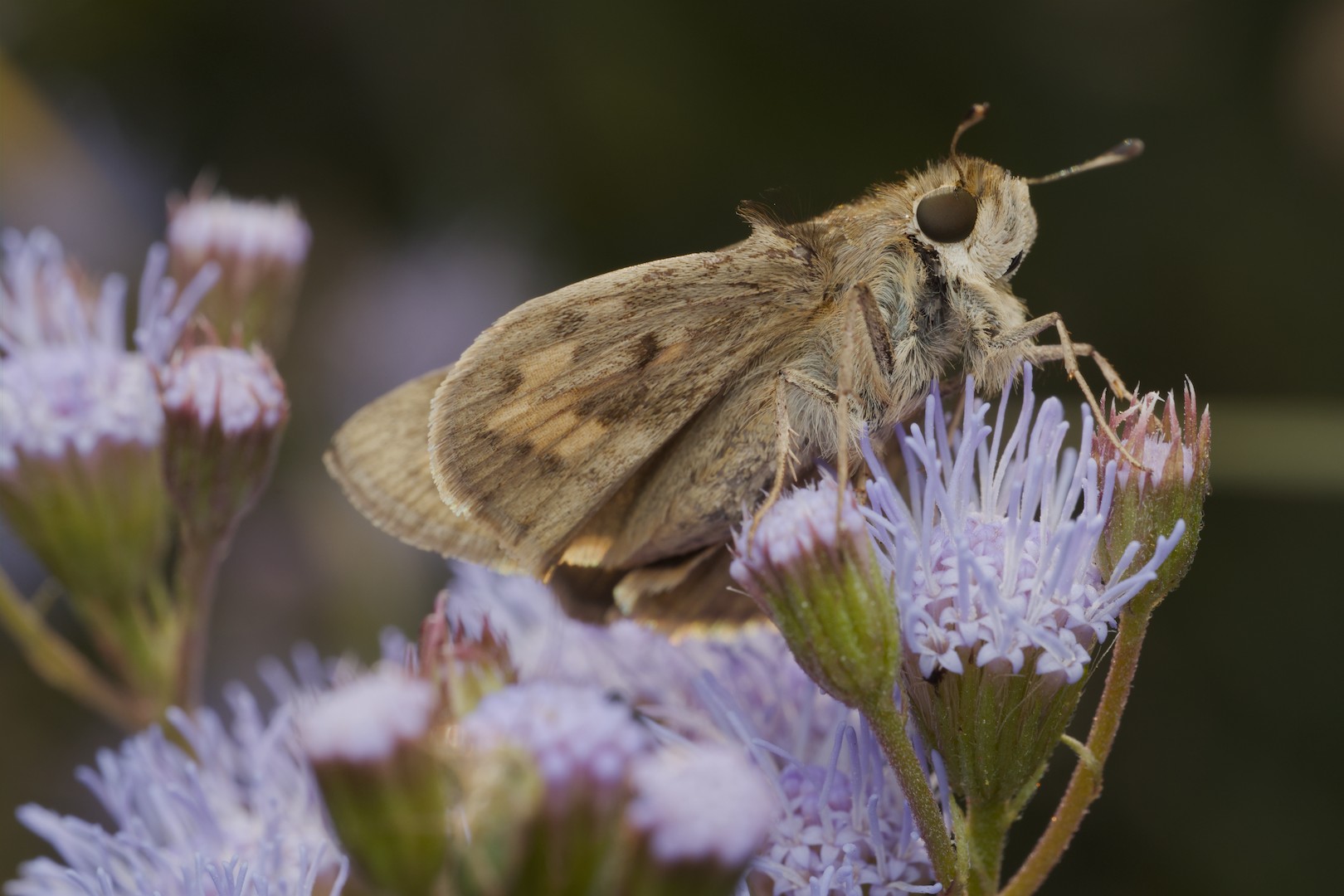 After crop and exposure