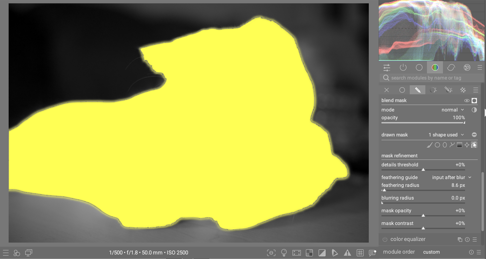 Feather radius lets the mask edge follow fur even when the path can&rsquo;t represent it.