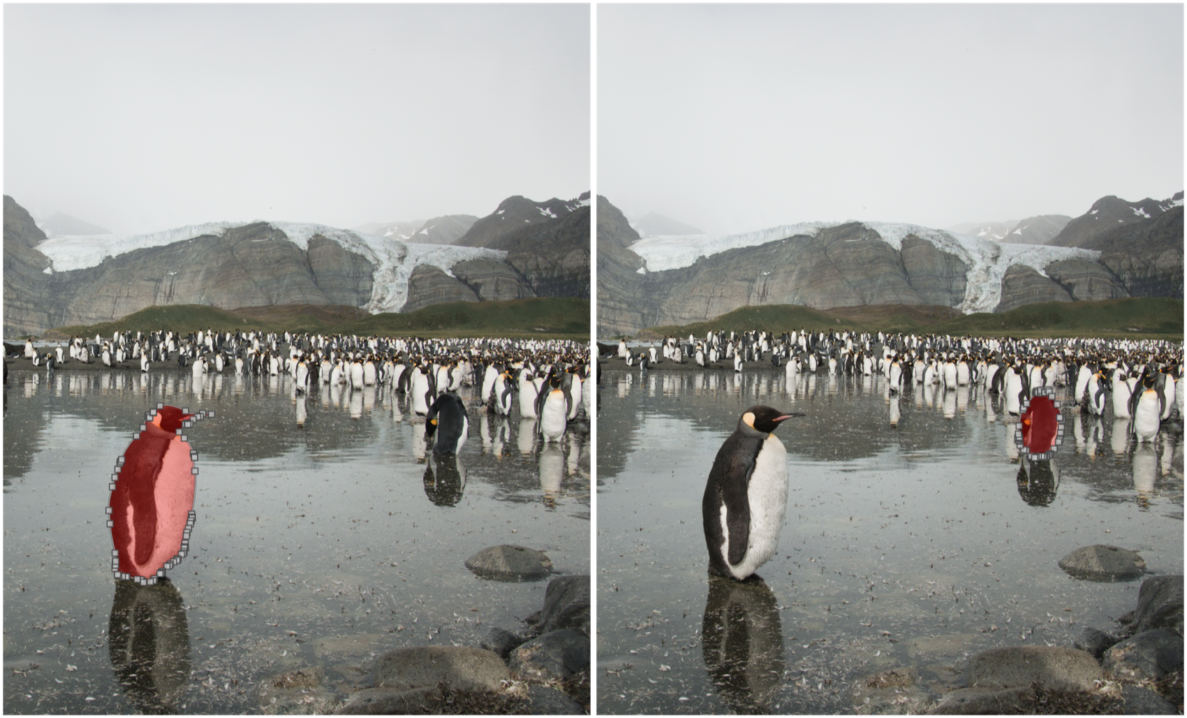Two penguins, two separate masks – visually-separated subjects can&rsquo;t be combined in one go.
